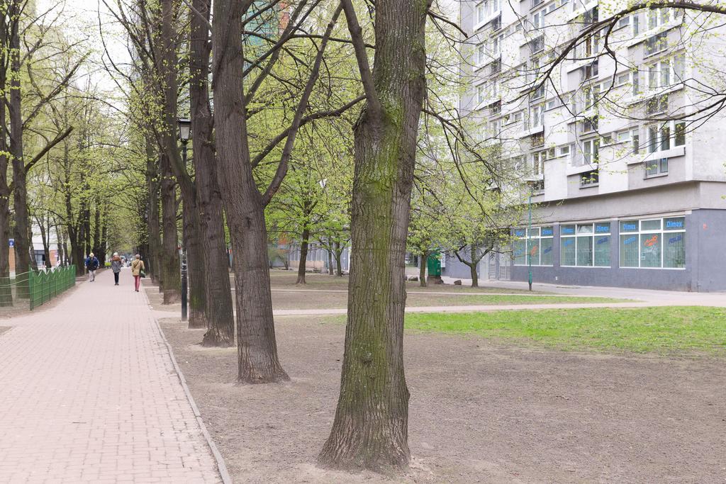 Studio Grzybowska - Warsaw Center Cameră foto